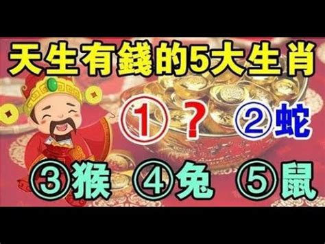 生肖房屋朝向|十二生肖宅運大公開